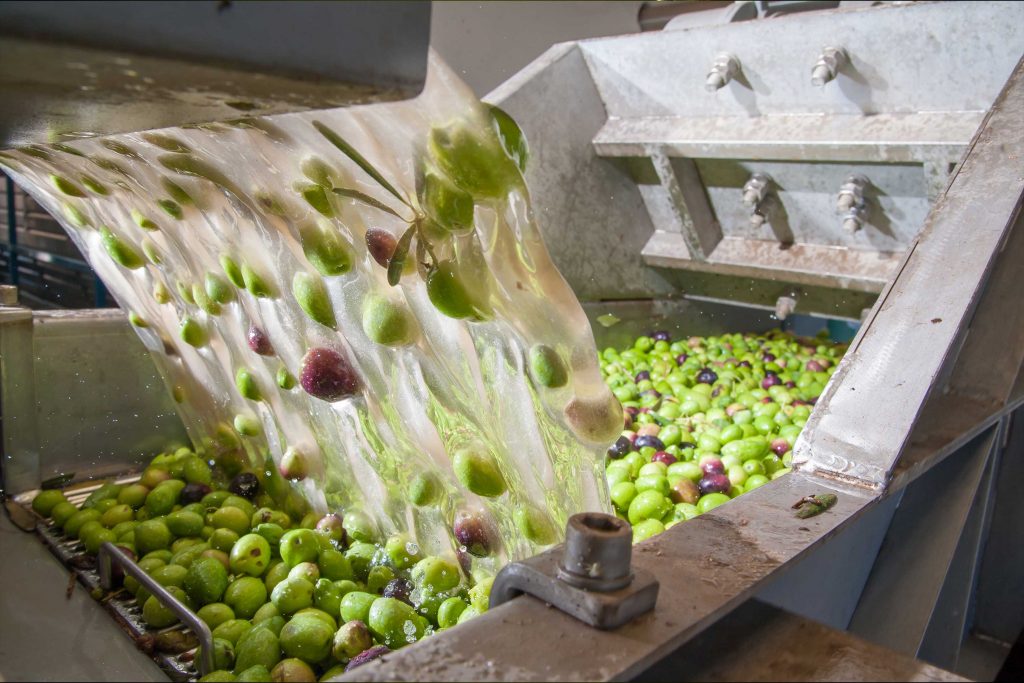 olive abruzzesi